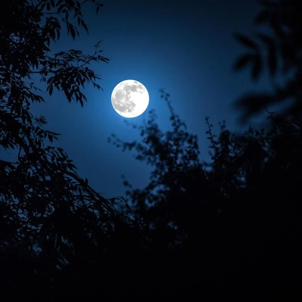 Volle maan healing