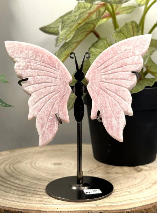 Roze Opaal vlinder