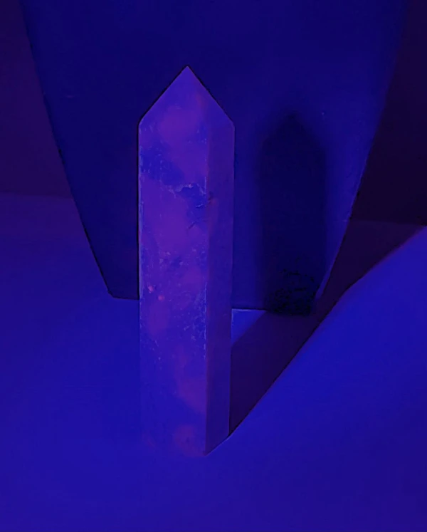 Paarse Hackmaniet toren - Foto 2